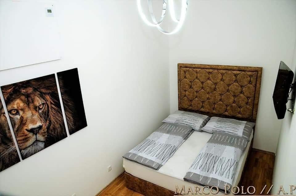 וינה Markopolo Apartments מראה חיצוני תמונה